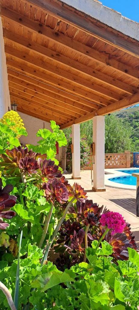 Peace And Tranquility At Montana Retreat Apartment Alora Bilik gambar